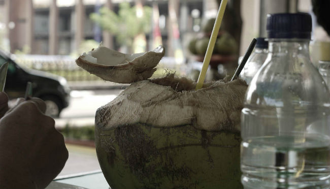El agua de coco es la bebida isotónica de la naturaleza. // Foto: Especial.