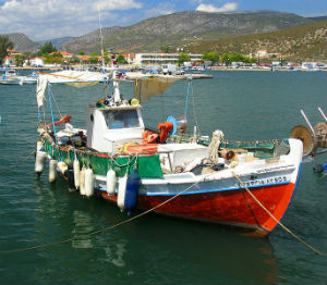 Sus trabajadores viaja a Grecia para comprar el pescado que se servirá al día siguiente. // Foto: Especial.