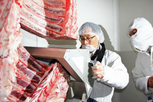 Antes de comenzar con el negocio, los empresarios aprendieron los protocolos de crianza y producción de la carne Wagyu en Japón. // Foto: Especial.