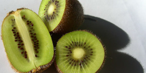 kiwi - Animal Gourmet