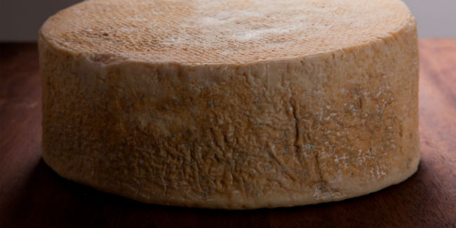 El queso montañés de Coatepec, Veracruz, está hecho con leche de cabra. // Foto: Cortesía.