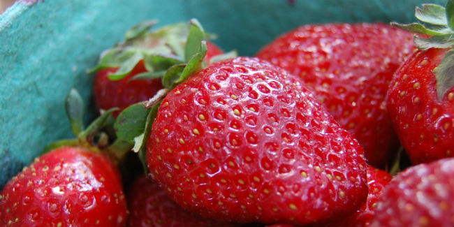 ¿Y las fresas, apá? No son frutos ni verduras, son infrutescencias. // Foto: JustyCinMD (Creative Commons).