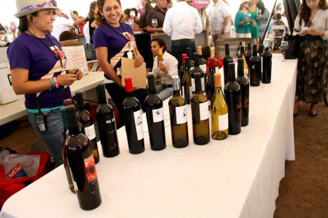 Las Fiestas de la Vendimia son la mejor oportunidad para conocer las etiquetas y vinícolas de Baja California. // Foto: Provino AC. (Facebook)