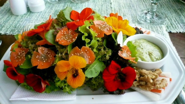 Del mastuerzo todo se come y las flores resultan muy lucidoras en cualquier ensalada. // Foto: Romel Sánchez (Creative Commons)