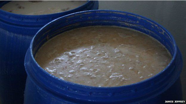  La harina de teff es fermentada antes de ser convertida en injera. 