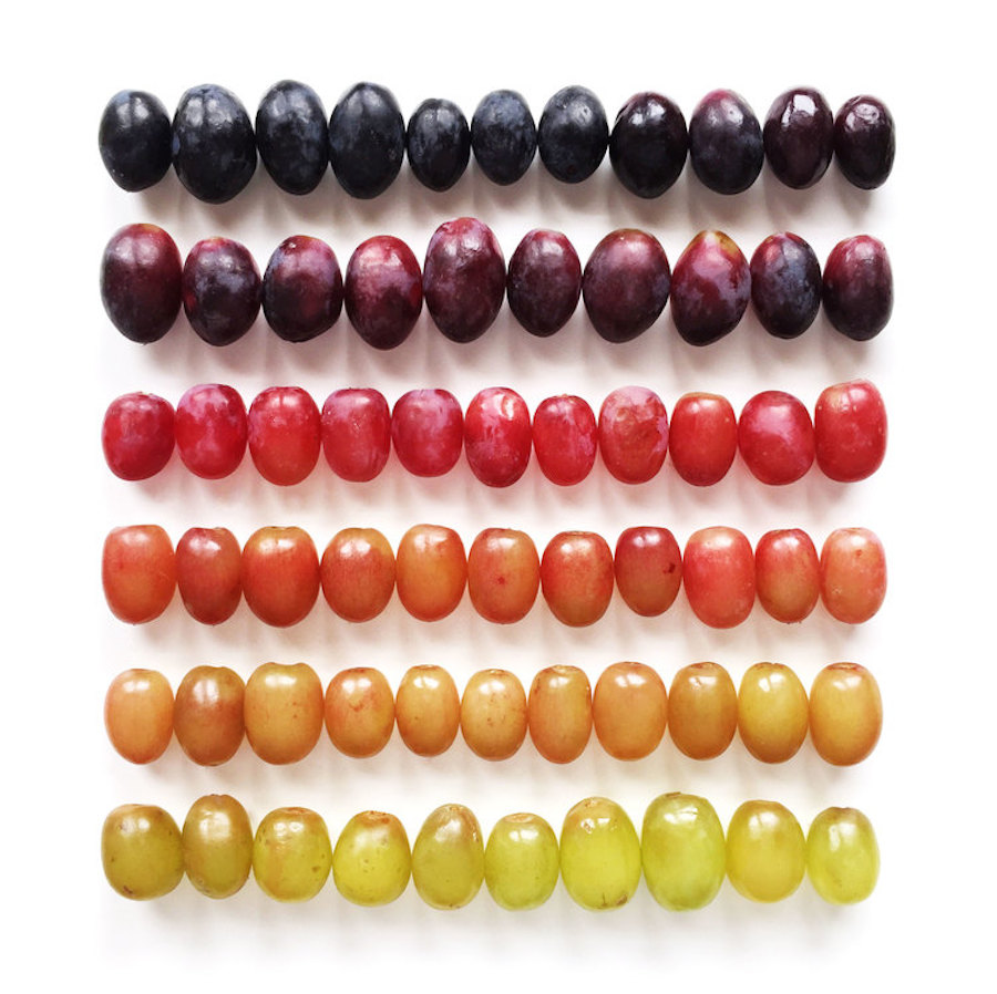 Brittany-Wright-Food-Gradients7