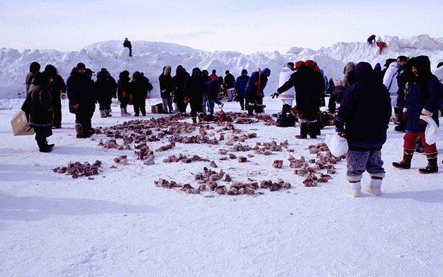 Entre los inuit es tradición compartir los alimentos producto de la caza , pues no consideran los alimentos como pertenencias personales.