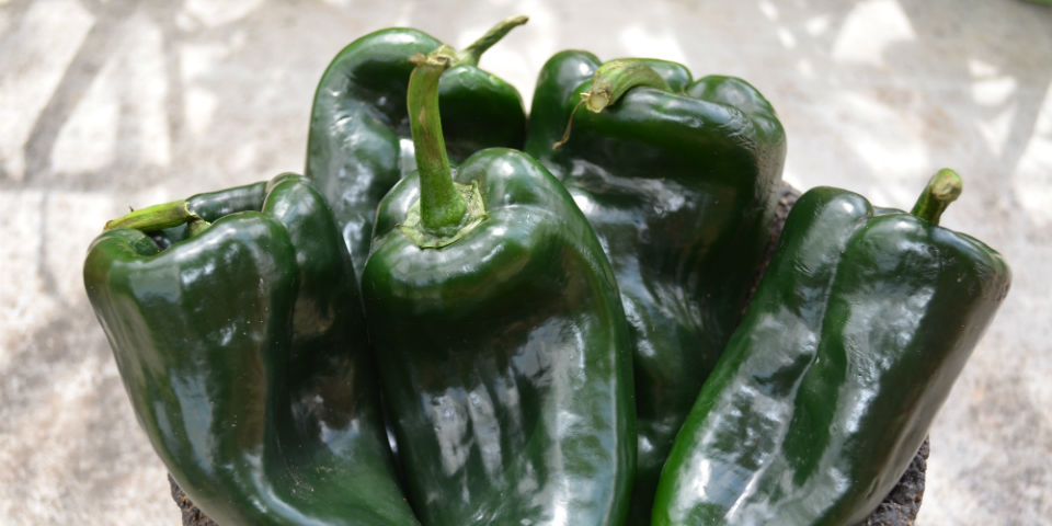 how to clean poblano peppers