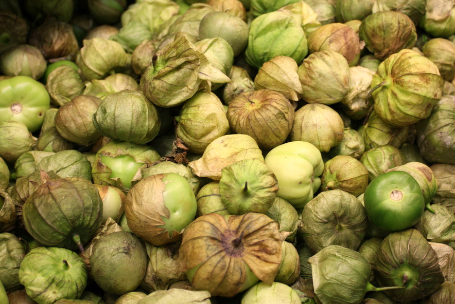 Tomate verde, esencial en la comida mexicana. //Foto: Wikimedia Commons.