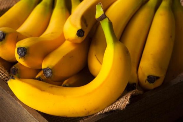 variedades plátano