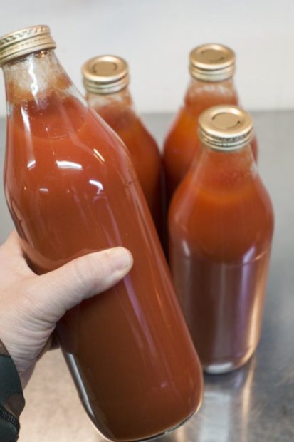 A partir del siglo XIX comenzó la comercialización de la salsa de tomate en botellas.