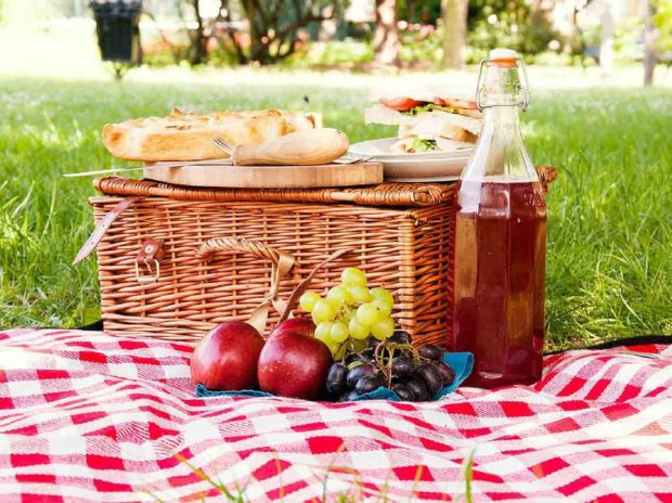 Disfruta de un picnic con tus amigos y tu familia