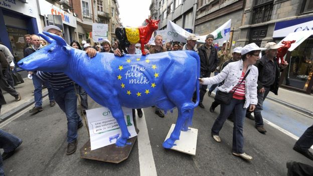 AFP. Los productores de leche belgas bloquearon el acuerdo comercial entre UE y Canadá.
