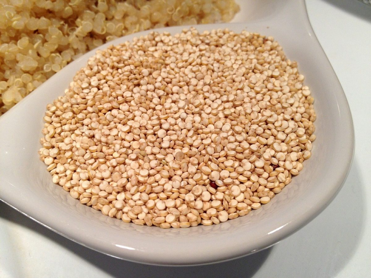 cocinar quinoa