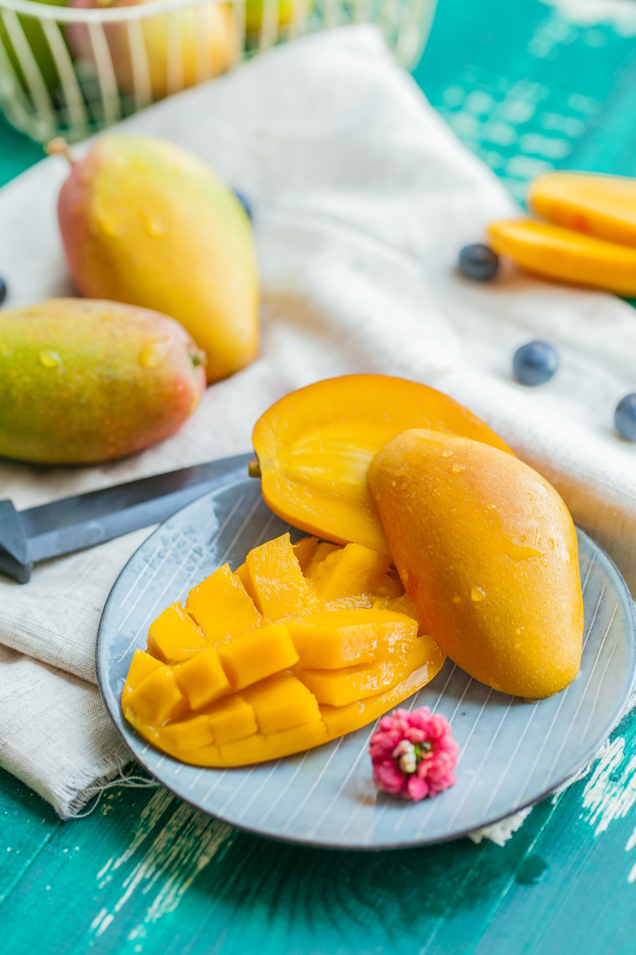 recetas con mango temporada