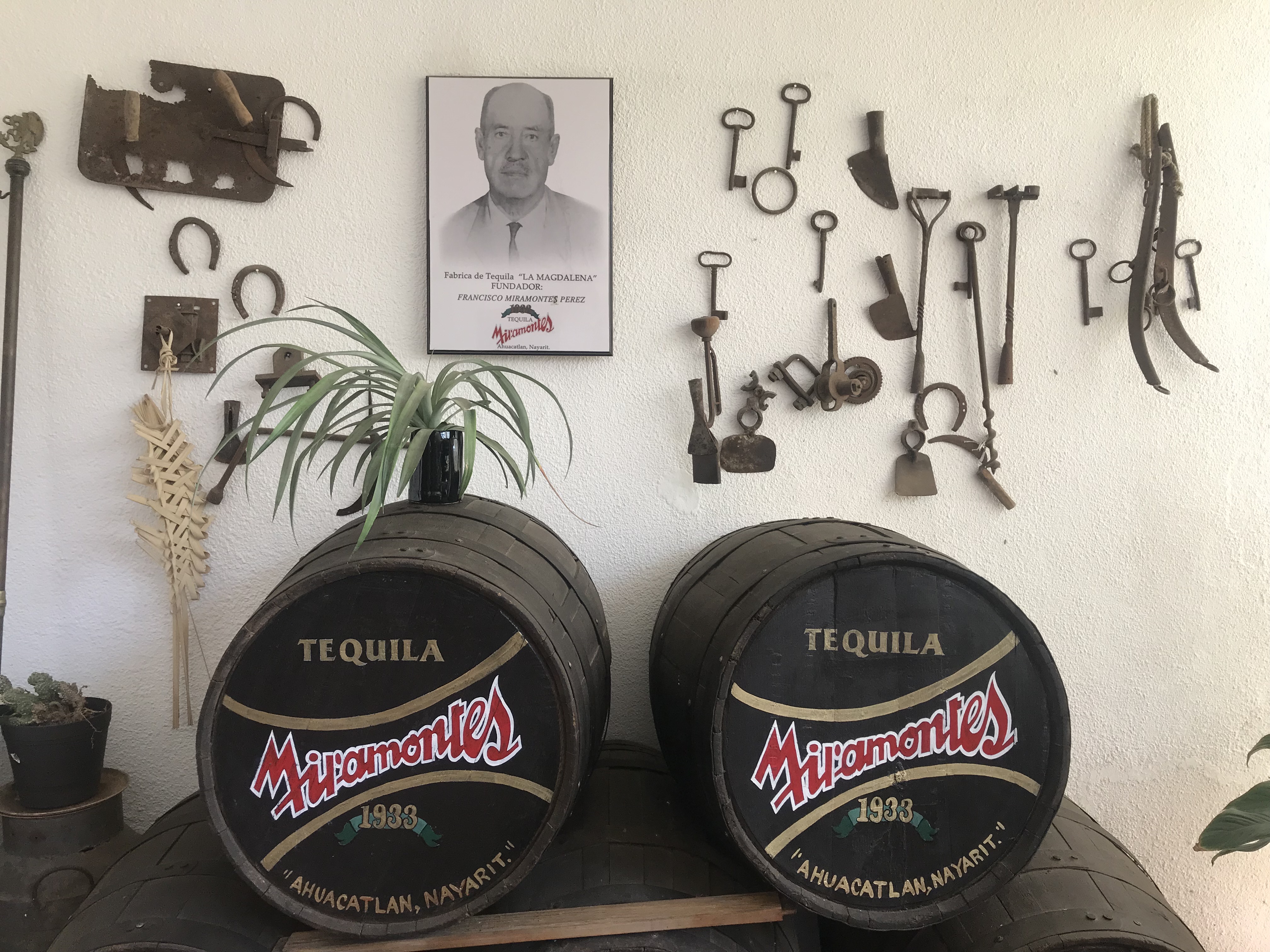 Tequila Miramontes