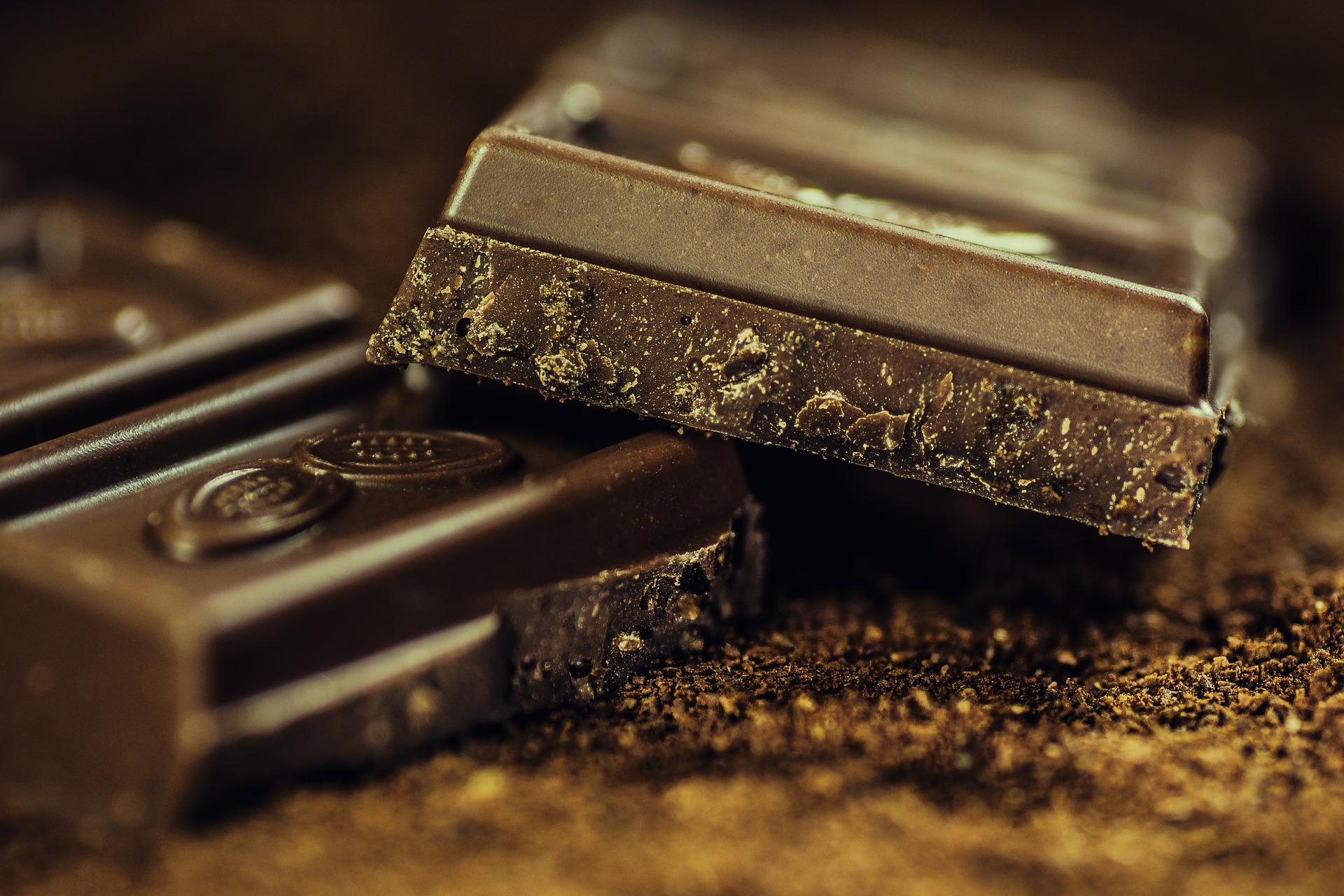 Día Nacional del Cacao y Chocolate en México