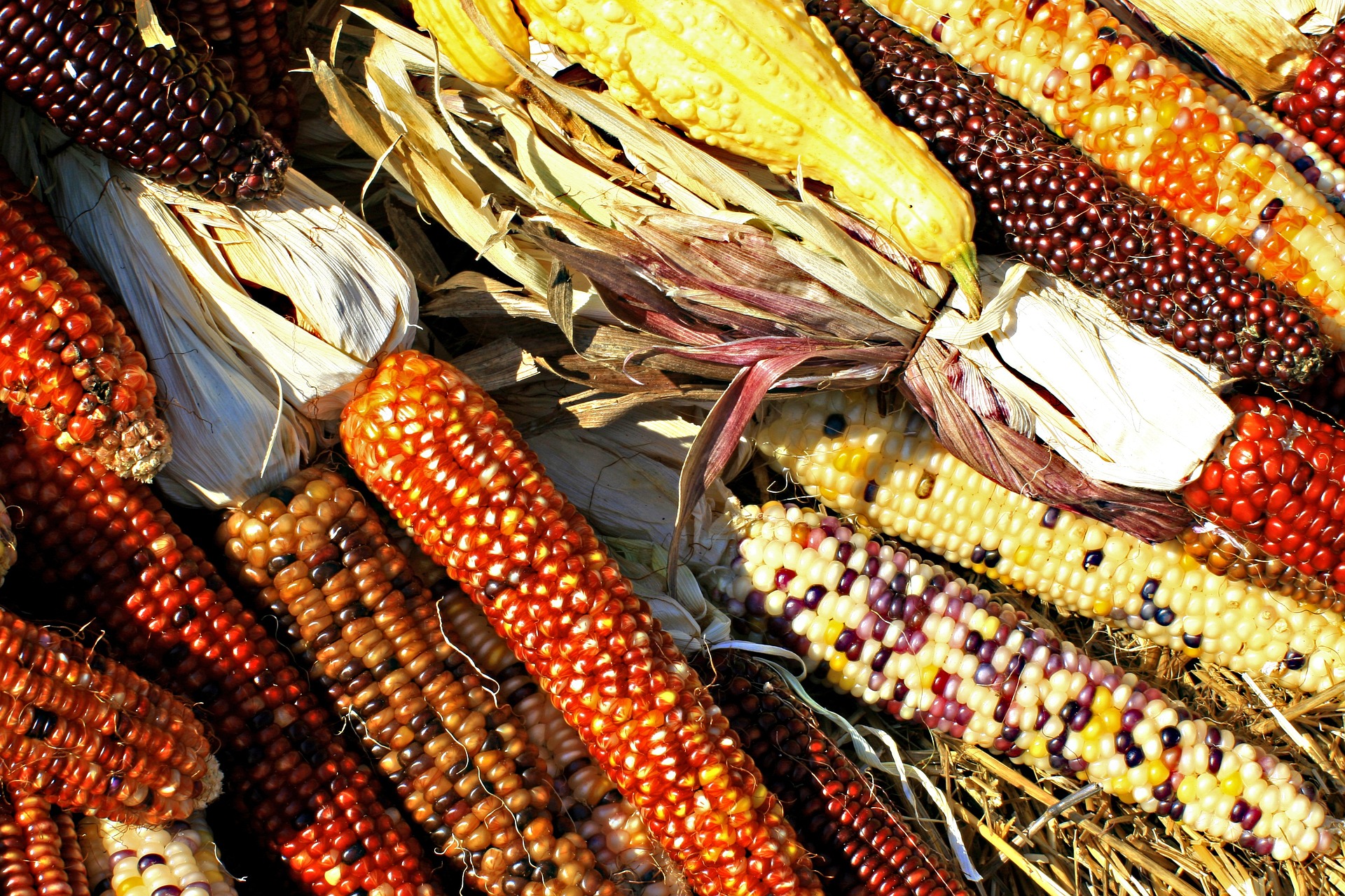 Barro y maíz, elementos culinarios de un presente ancestral