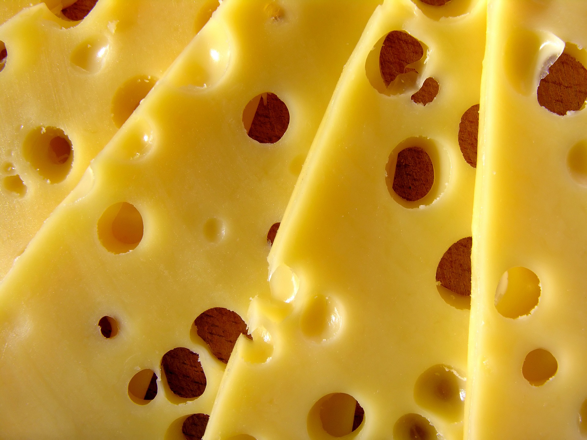 tipos de queso