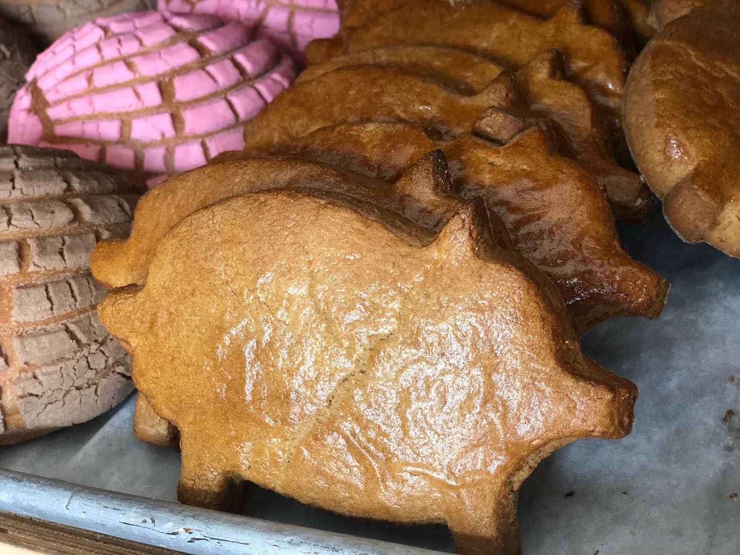 Puerquitos de piloncillo: la dulce tradición de los hornos de México