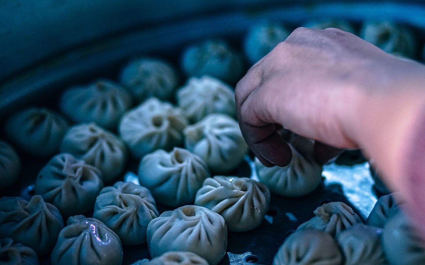 El origen de los dumplings, sus variedades y una receta - Animal Gourmet