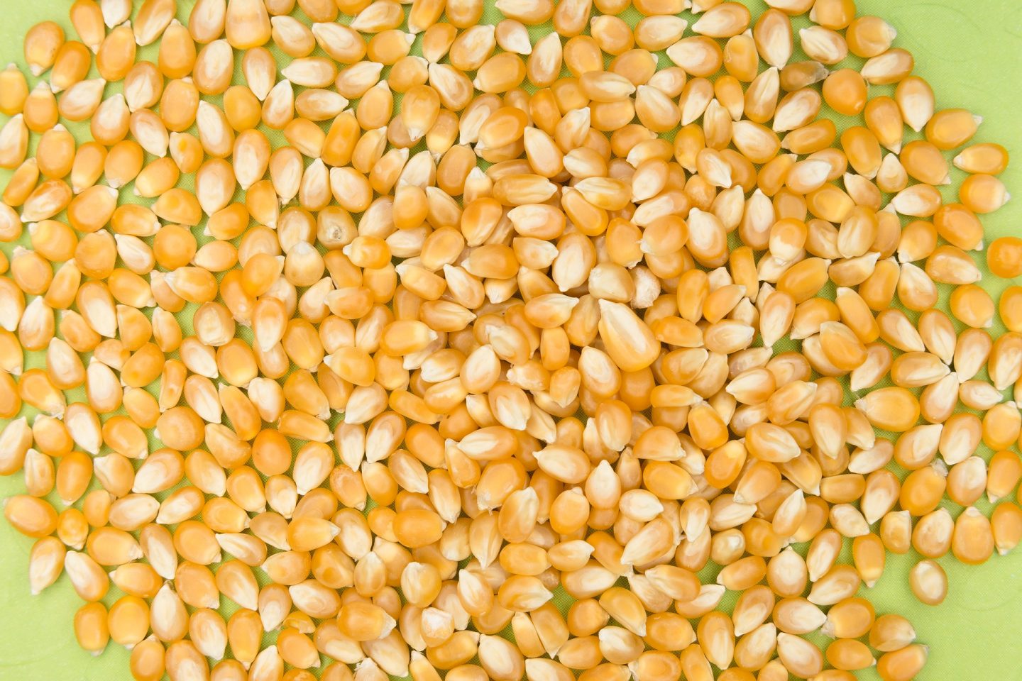 palomitas de maíz