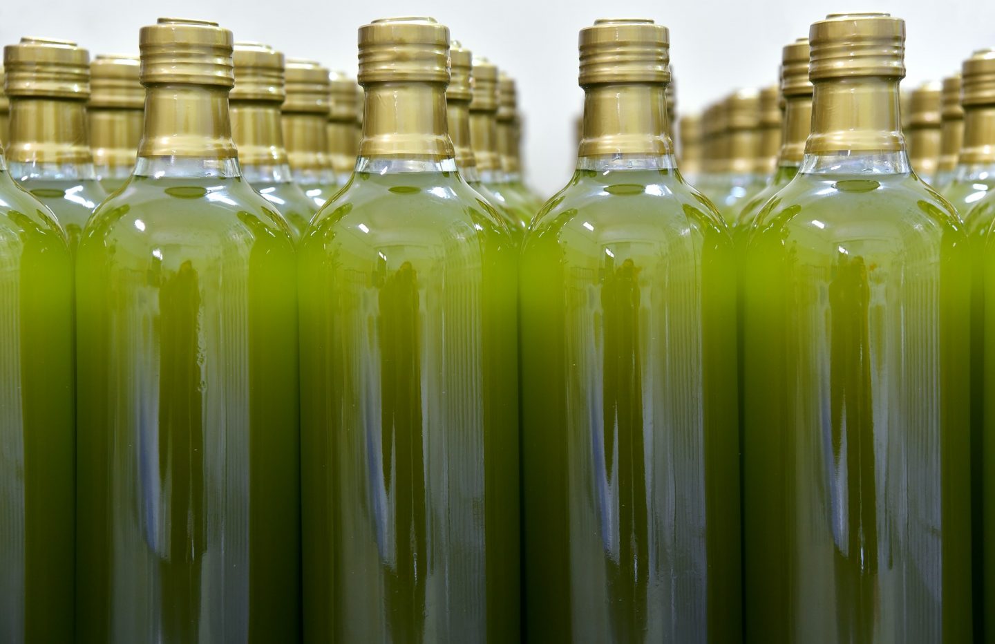 variedades aceite de oliva
