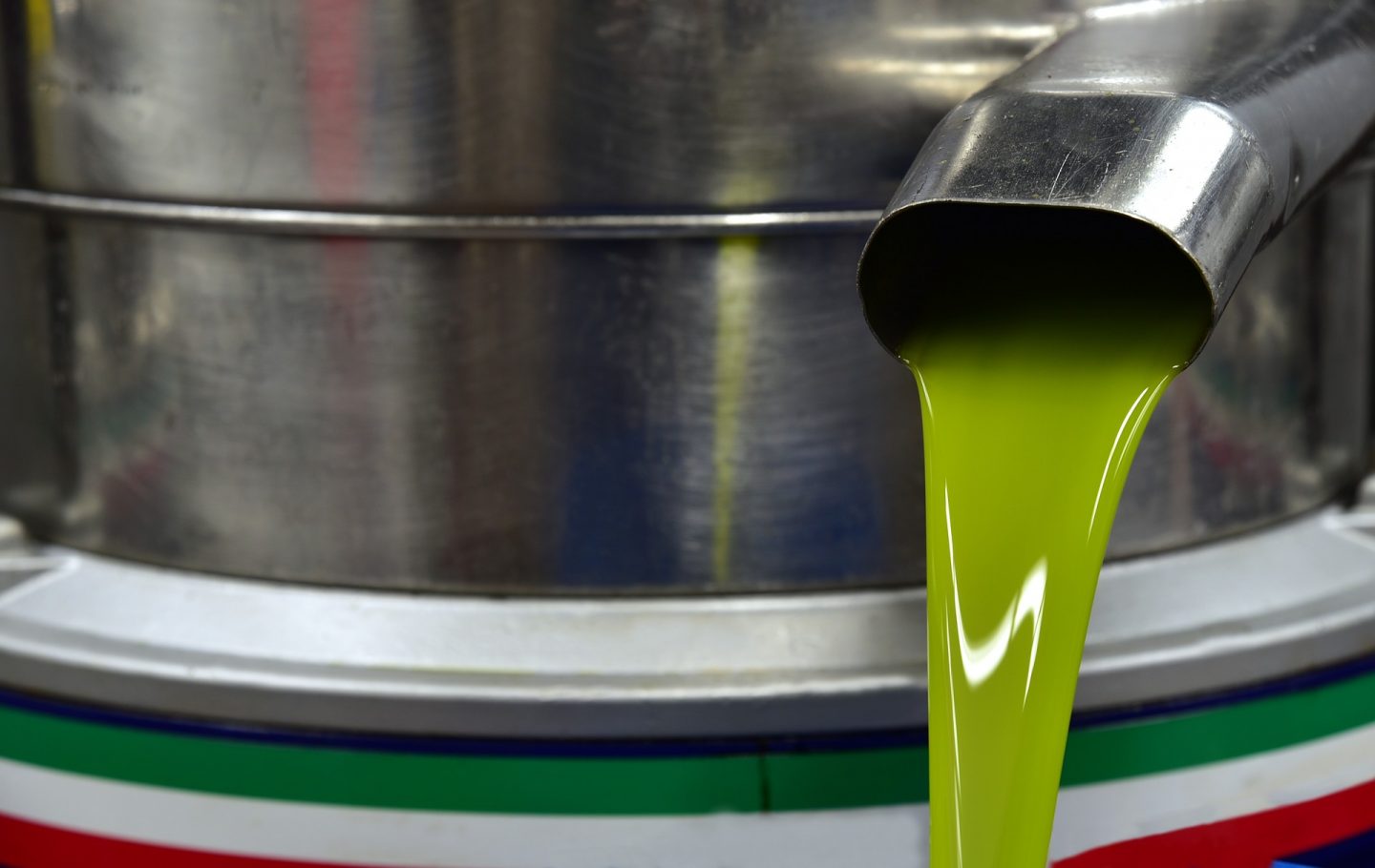 extracción aceite de oliva mexicano