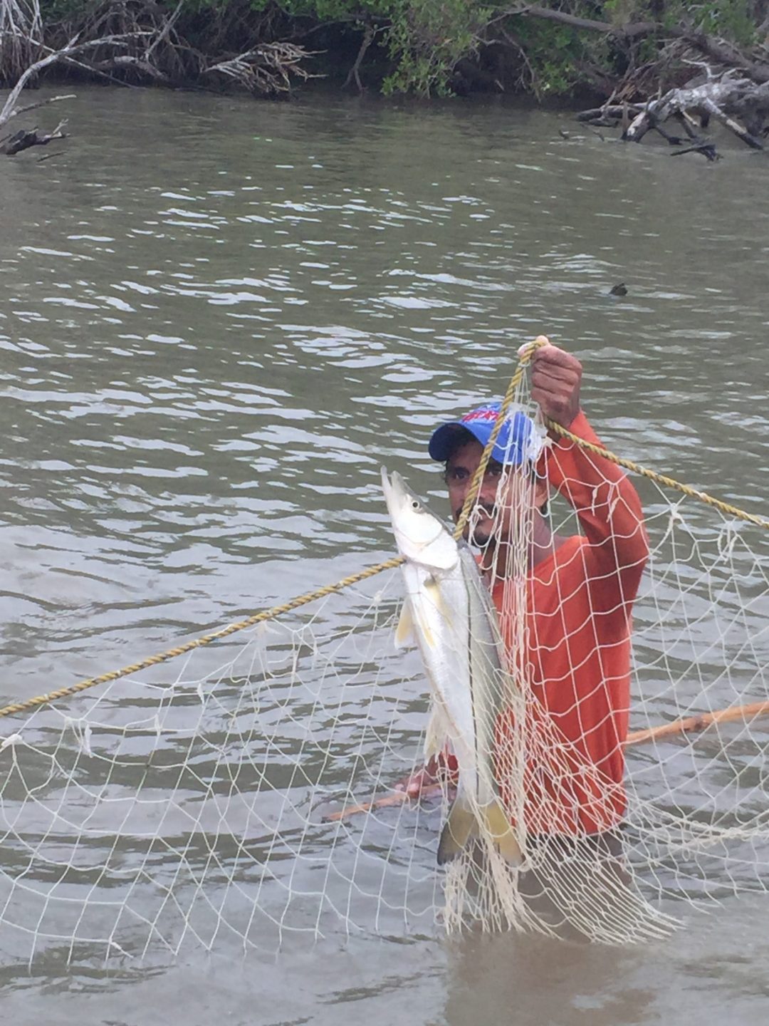 mujeres pescados mexicanos rehabilitación manglares Tamiahua