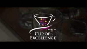 pequeños cafetaleros en México