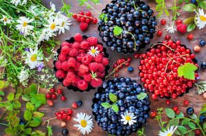 Frutos rojos que pertenecen a la familia de las rosaceas