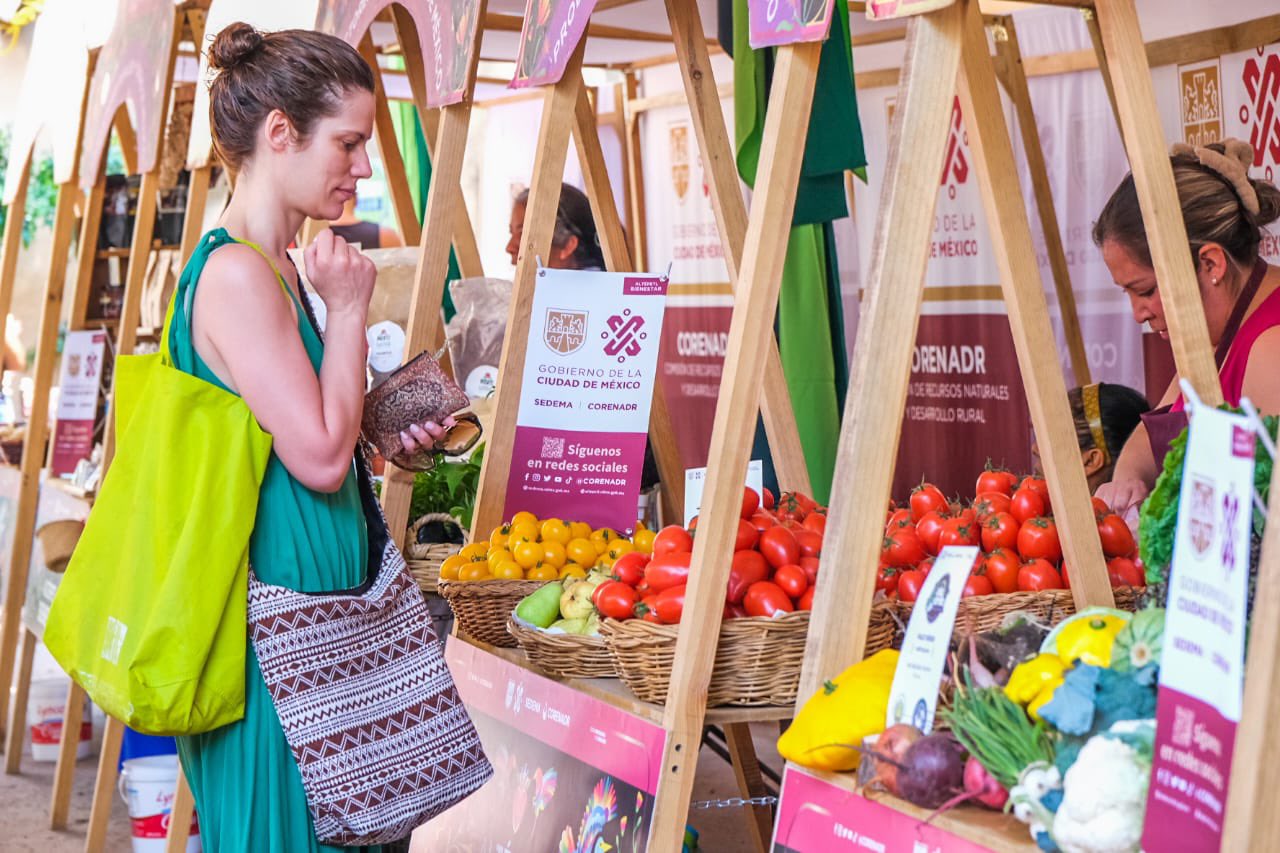 Nuevo Mercado Agroecológico en Huerto Roma Verde