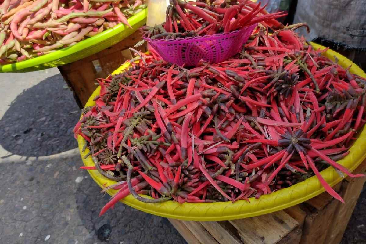 Venta de la flor de colorín