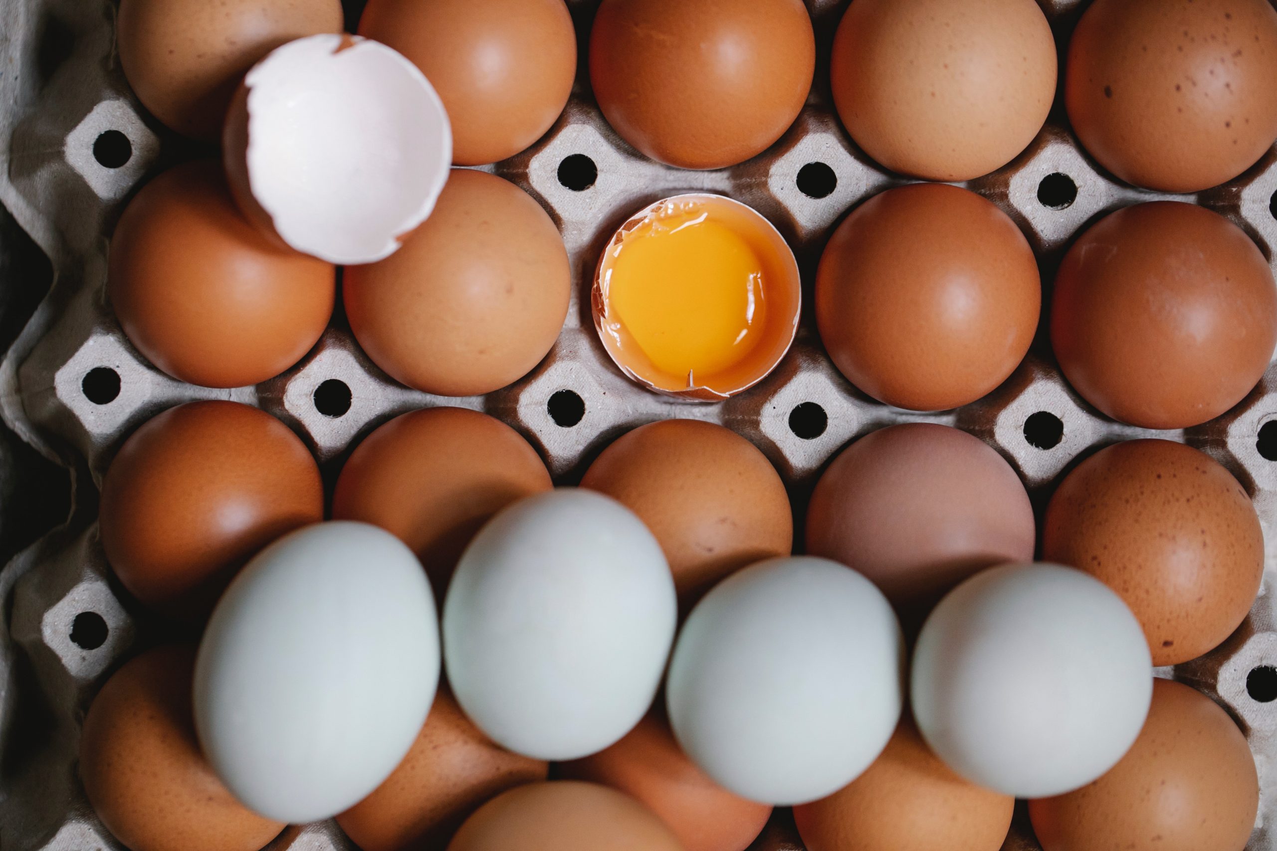 El huevo se debe refrigerar y evitar la bacteria de Salmonela