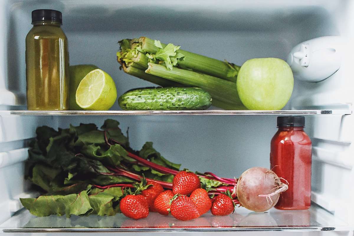 Almacenar los alimentos en el refrigerador.