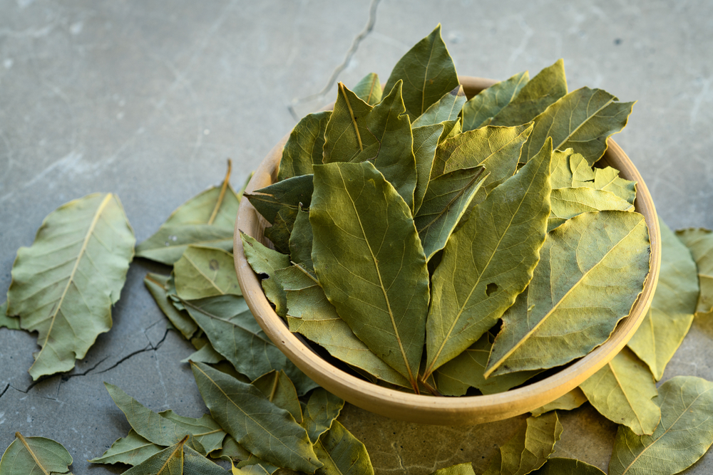 Las hojas de laurel tienen un aceite esencial que ayuda a ahuyentar insectos de tu cocina