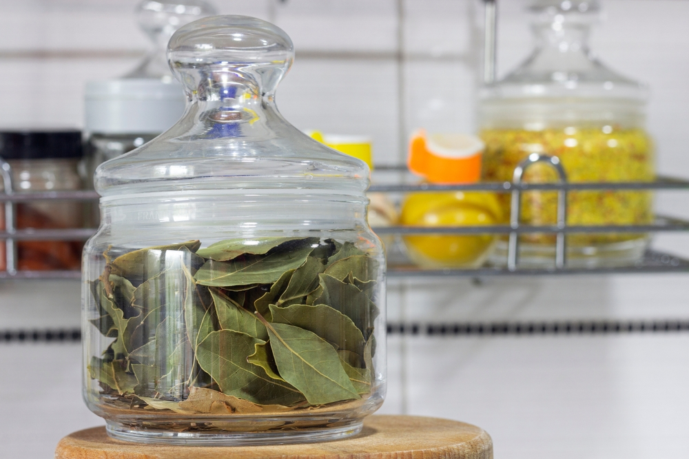 Utiliza hojas de laurel para ahuyentar moscas, mosquitos. y hasta cucarachas de tu casa
