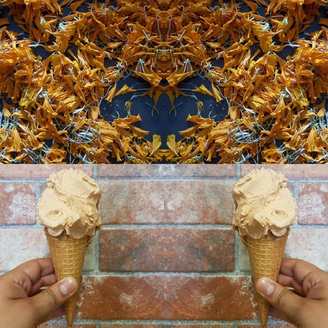 Helados de temporada: Flor de Cempasúchil, Joe Gelato