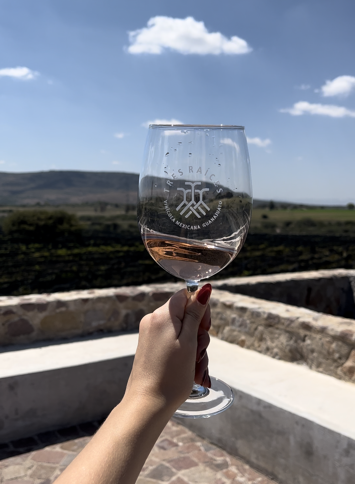 Foto: Copa de vino rosado en Viñedo Tres Raíces, Guanajuato