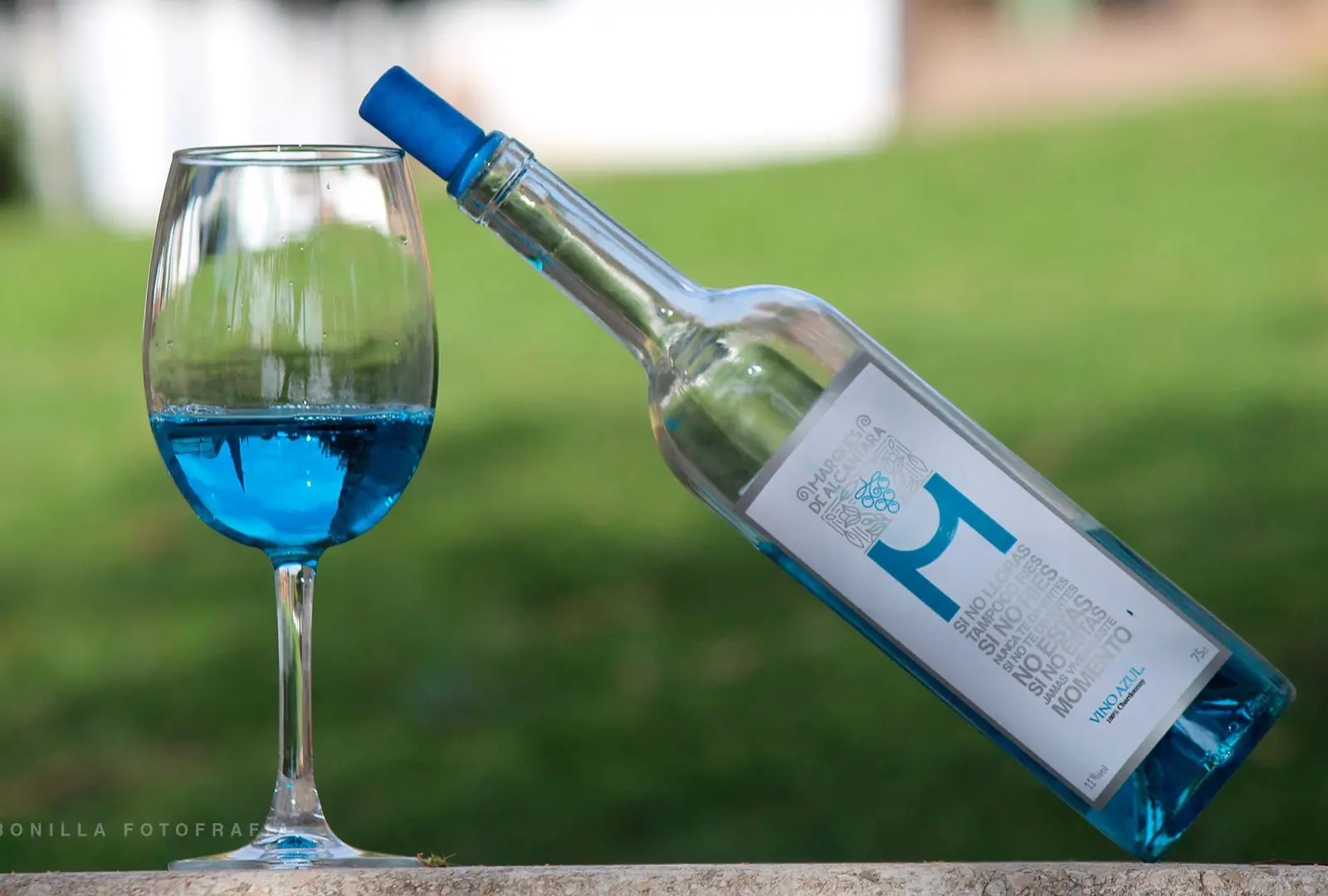 los vinos azules son toda una experiencia sensorial