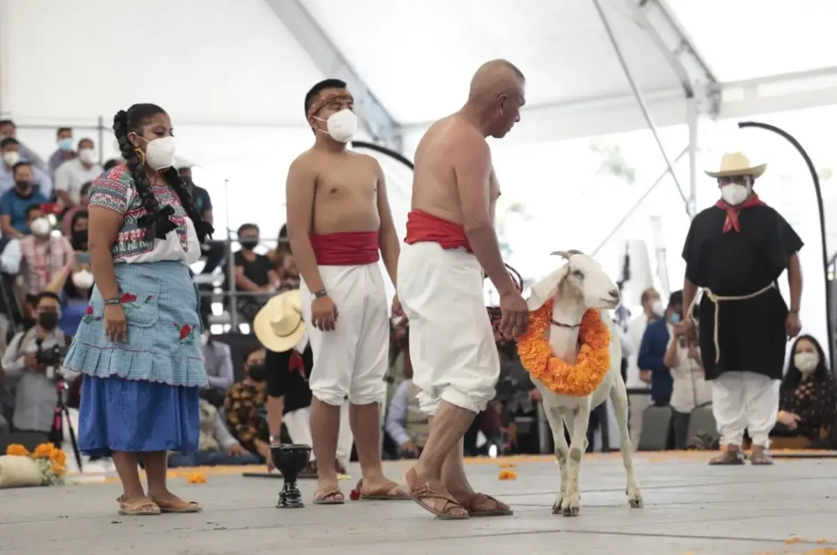 el festival de la matanza es parte de la tradición mixteca