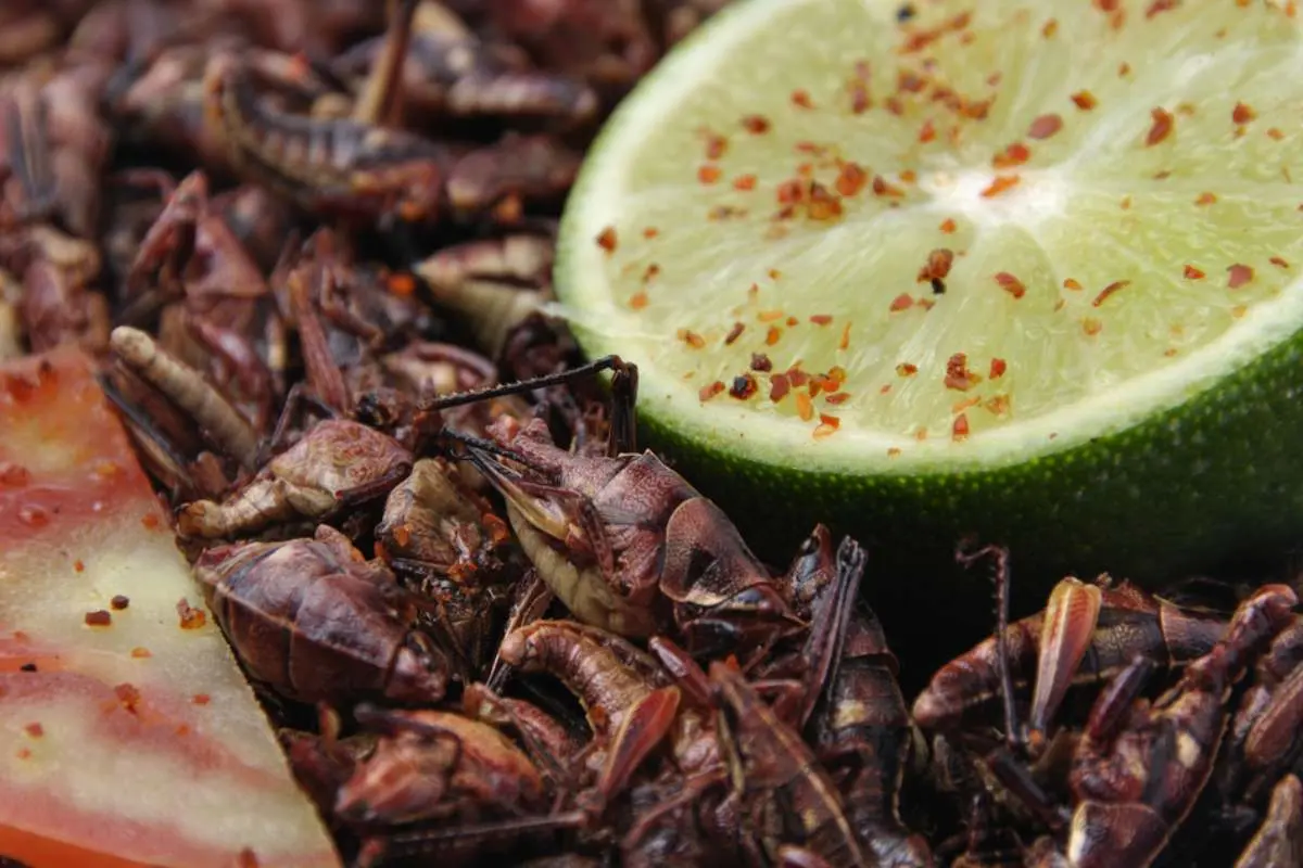 Afuera del Mercado Benito Juárez en Oaxaca es muy común ver puestos ambulantes que venden chapulines sazonados con ajo, chile y limón. Así como la sal de gusano para acompañar el mezcal.