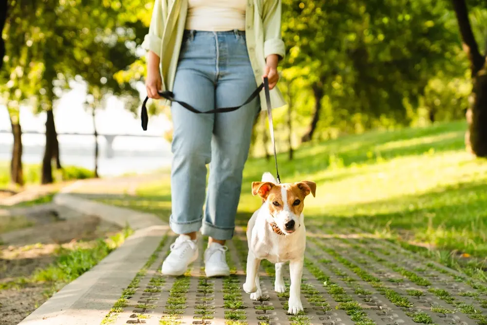 mujer paseando a su perro