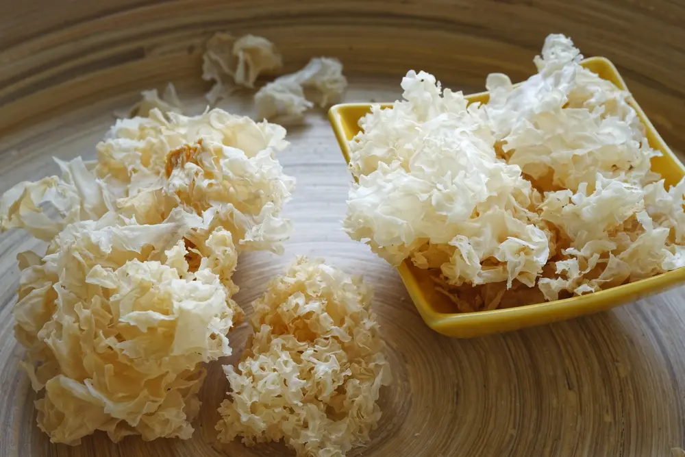 Tremella