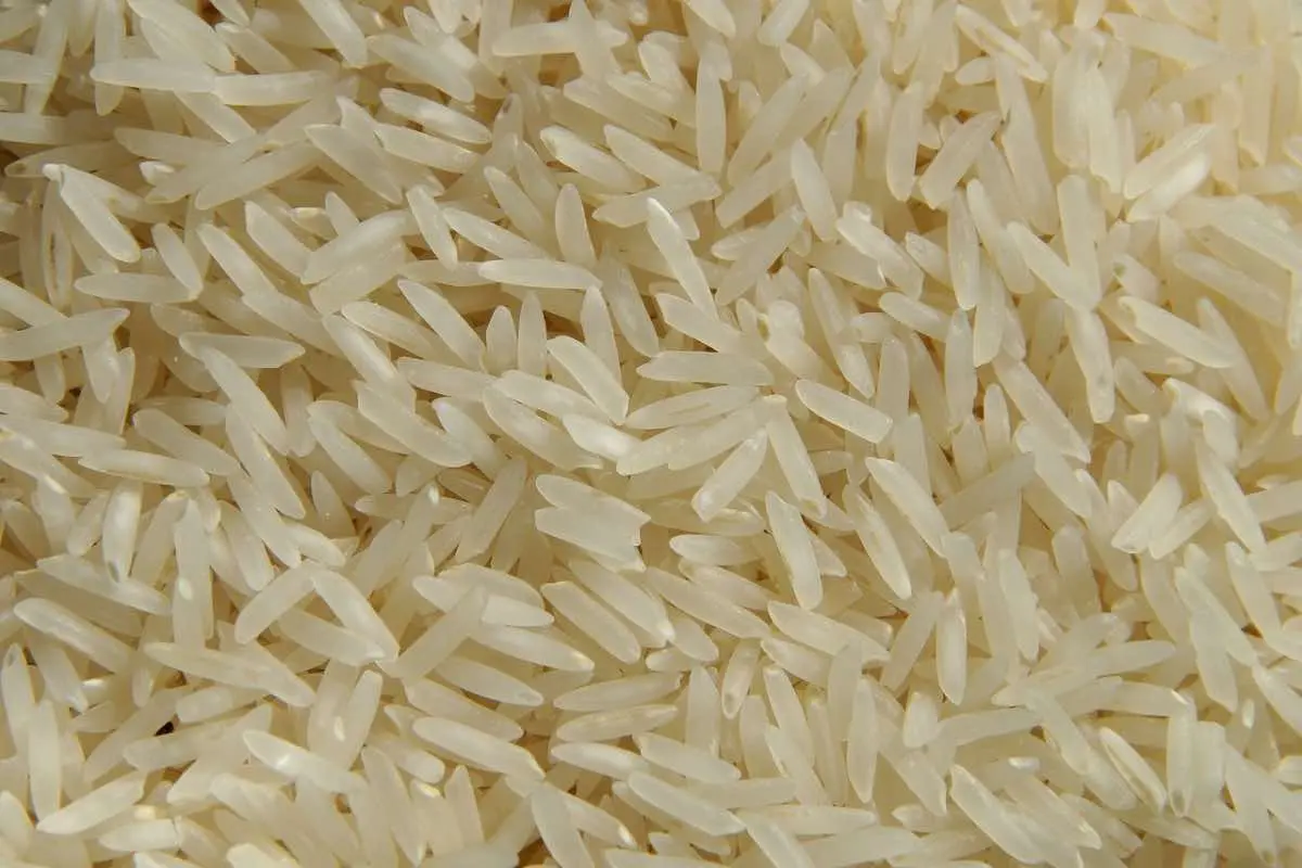 arroz símbolo de fertilidad