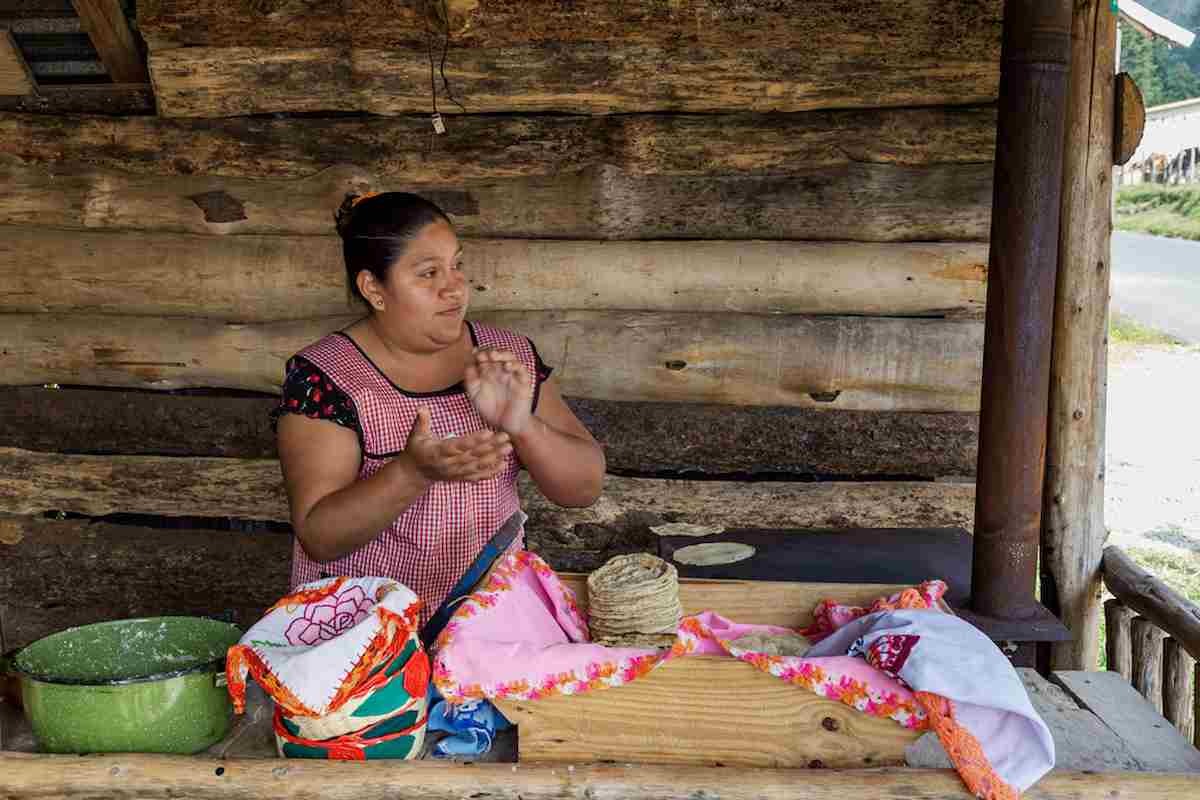 cocina tradicional mexicana en riesgo por la posible extinción de alimentos mexicanos ancestrales