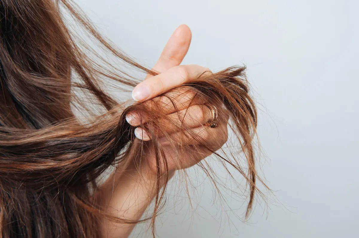 revitalizar tu cabello con hierbas en el shampoo