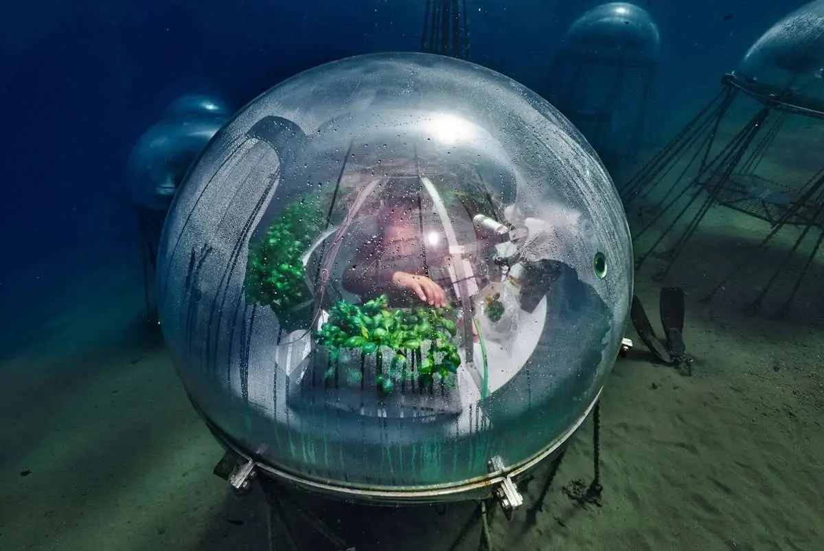 Biosferas del invernadero Nemo's Gaarden o Jardin de Nemo