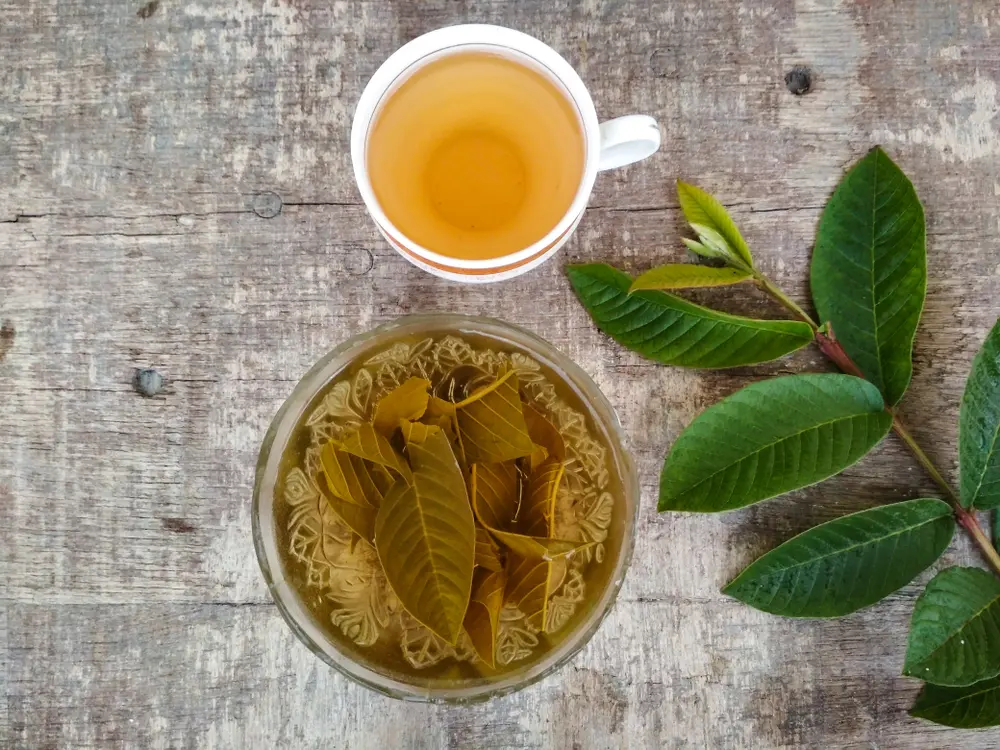 Cómo hacer el Té de hojas de guayaba para desinflamar