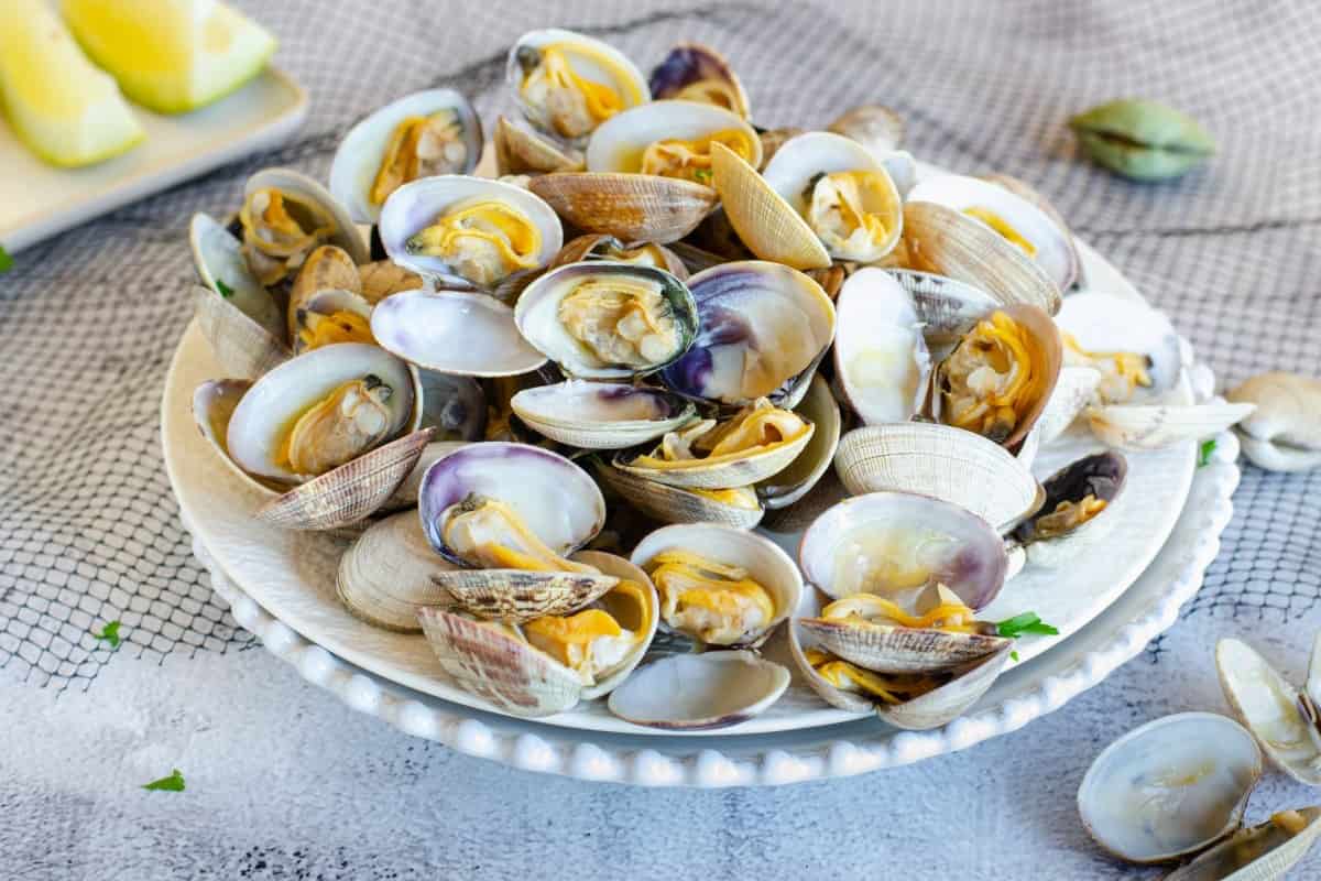 Cómo diferenciar entre ostiones, ostras, almejas y mejillones